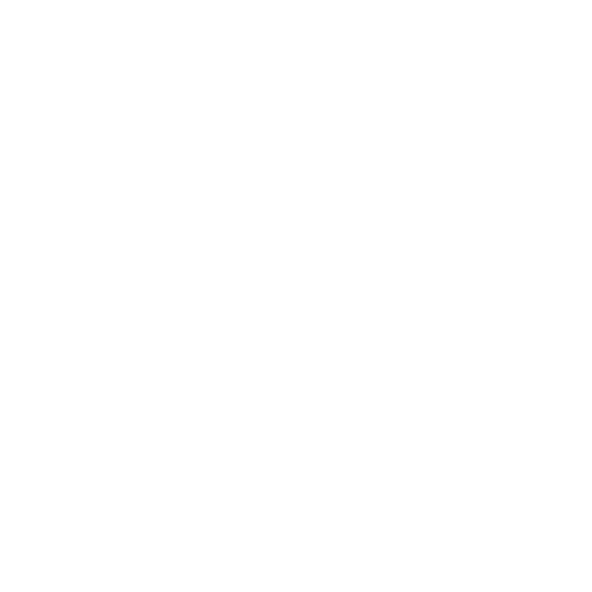 Palms Payment Solutions